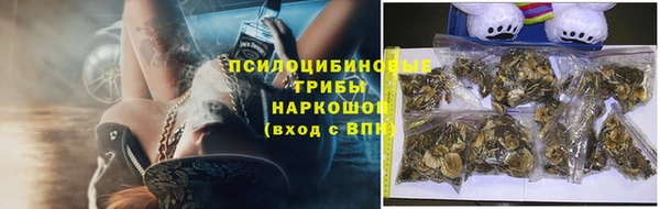 бошки Горнозаводск